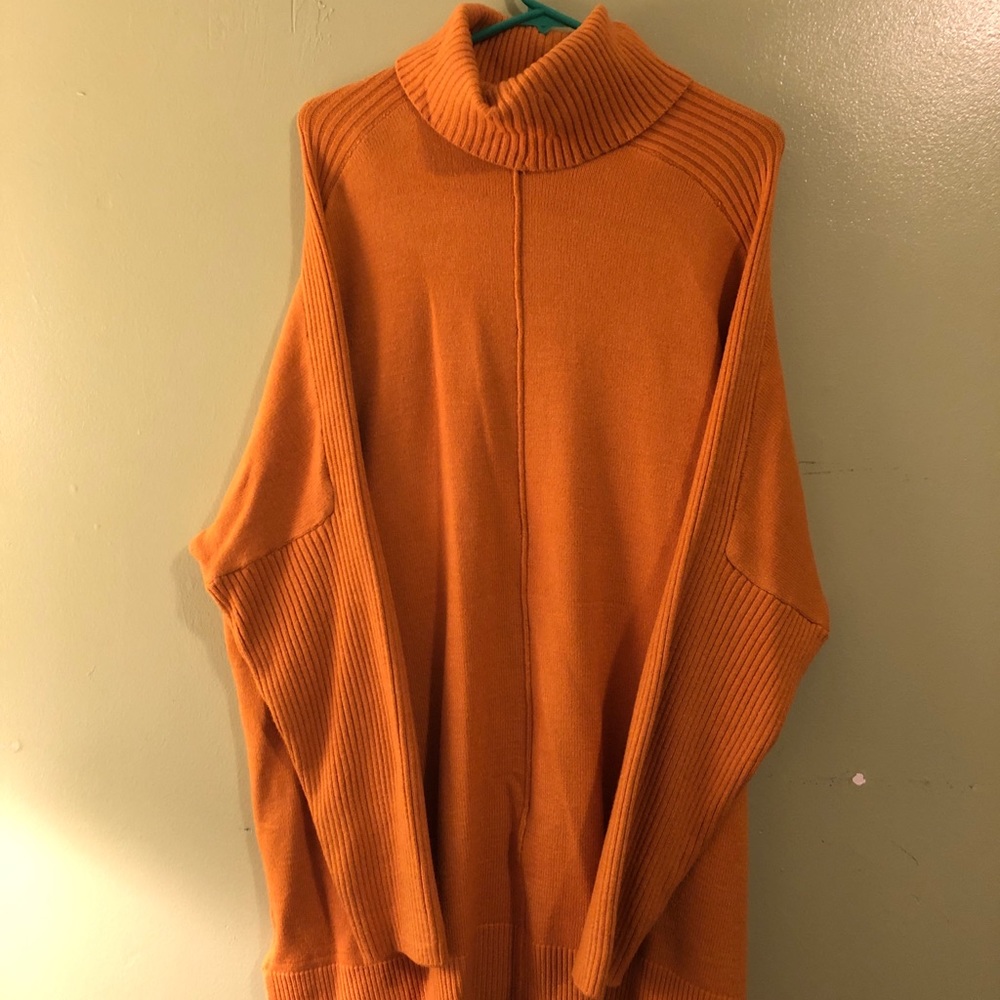 Mustard Turtleneck Sweater/shirt